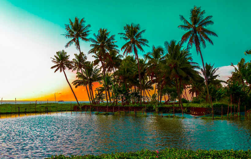 4 Days Kumarakom, Alleppey, Kovalam Tour Package