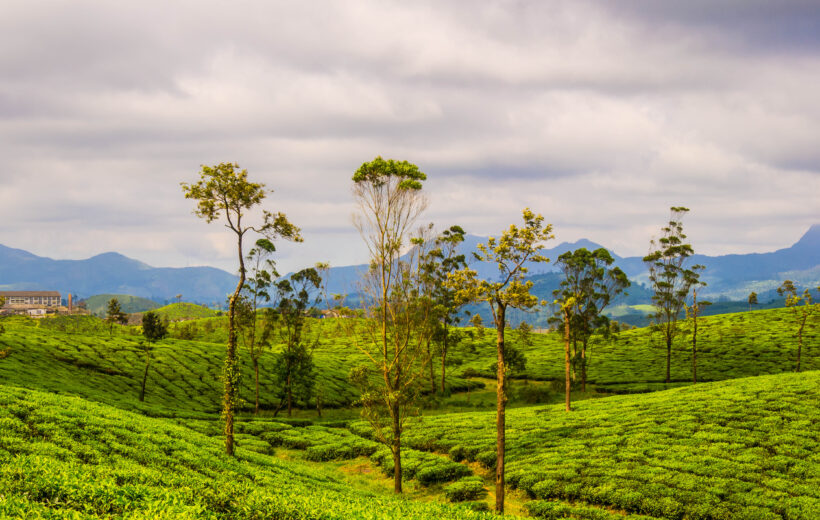 3 Days Valparai, Parambikulam Tour Package