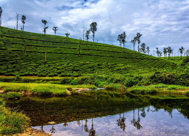 Topslip,Parambikkulam Valparai 3day Tour plan Raga Travels (74146