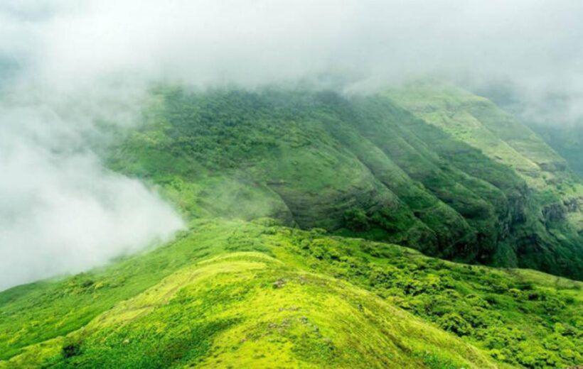 3 Days Mysore, Chikmagalur Tour Package