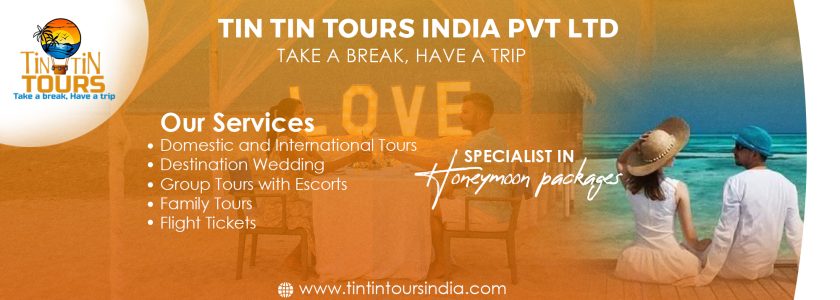 Tin Tin Cover pic 01 (2)